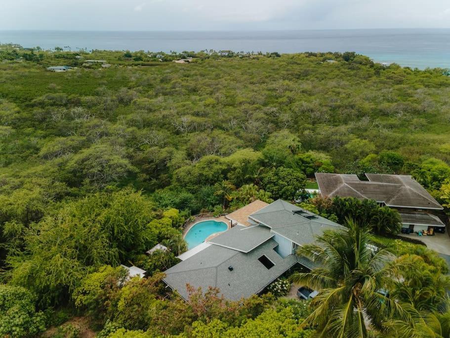 The Pohaku Studio At The Koi House 凯路亚-科纳 外观 照片